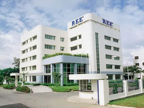 Công ty cổ phần Cơ điện lạnh (REE): “Bom nổ chậm” trong đầu tư tài chính